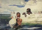 The Turtle Pound (mk44) Winslow Homer